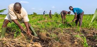  Food security and productivity: the World Bank grants 150 million US dollars to Benin 