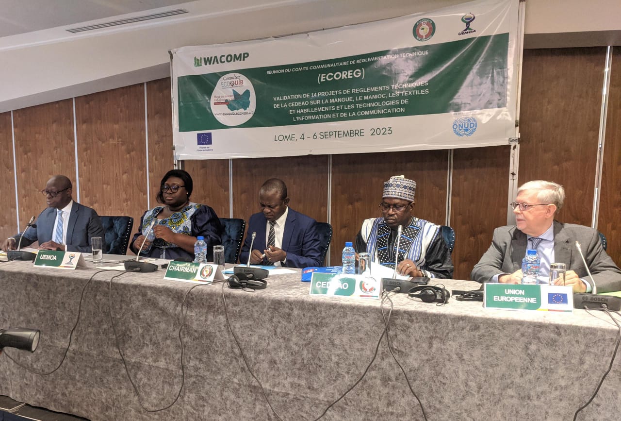  Meeting of the Community Technical Regulatory Committee: 14 projects from four regional value chains validated on Monday 
