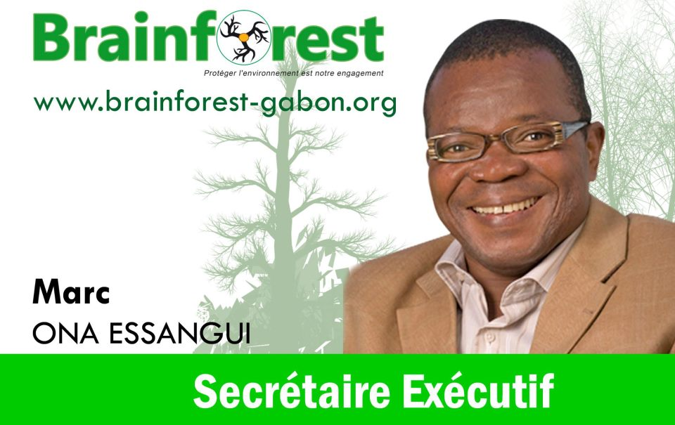  Gabon: Brainforest mobilise les PTF à soutenir la filière cacao 