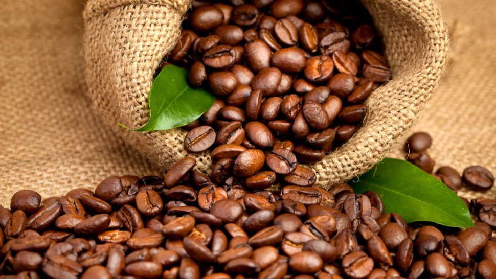  Coffee Guide: 4th edition launched in Lomé 