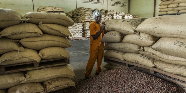  En Côte d’Ivoire, les géants du cacao accroissent leur avance 