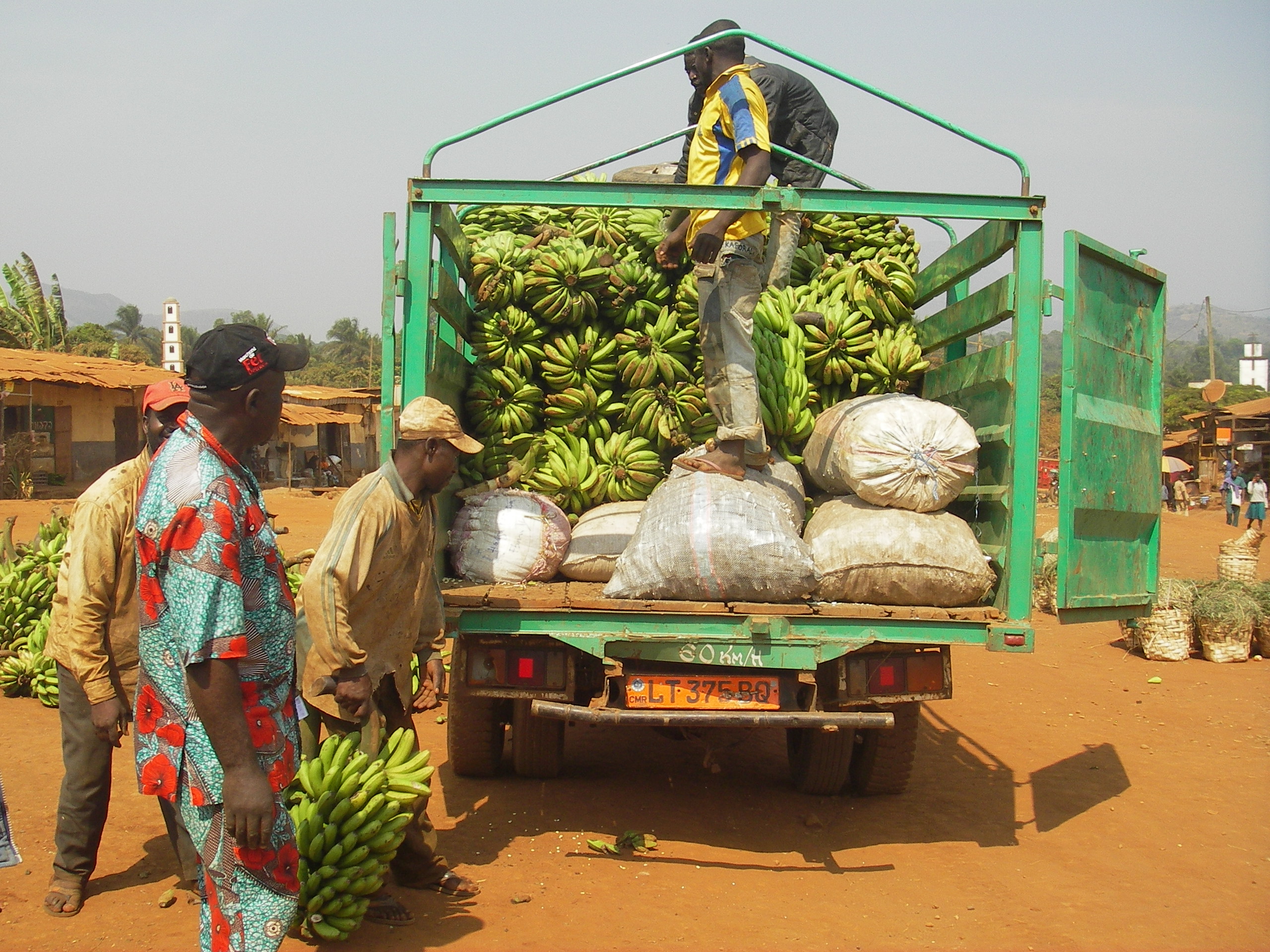  What is the state of agricultural trade in Africa? 