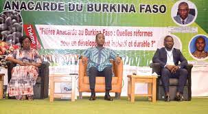  Agriculture : le développement inclusif et durable de la filière anacarde au Burkina au centre des discussions des Etats généraux 