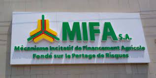  MIFA SA : Le gouvernement togolais veut céder des actions à Olam et l’AFC 