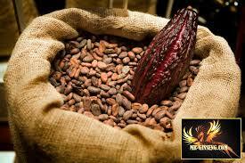  Côte d'Ivoire: The Coffee-Cocoa Council sets the kg of the bean at 750 FCFA for the intermediate season 