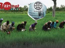  Agriculture au Sénégal : la BM approuve un financement de 200 millions de dollars US 