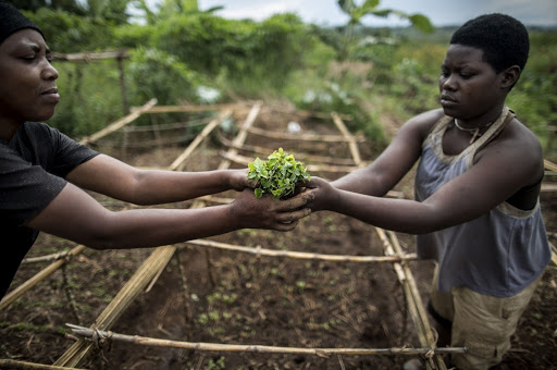  Smart agriculture: 10 new pilot projects launched in 7 West African countries 