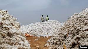  Cotton production in Chad: climate change, a main incident 