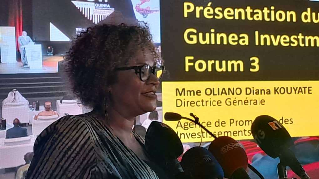  3ème édition Guinea Investment Forum : l’APIP lance les activités préparatoires de la rencontre prévue à partir du 5 mars 2024 