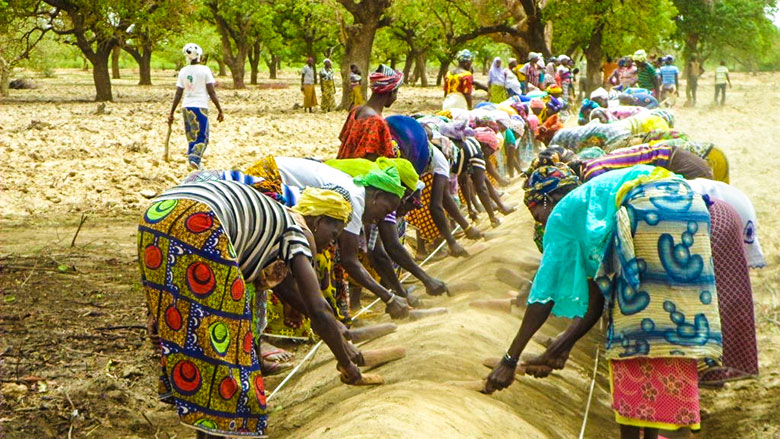  Agriculture au Burkina Faso : un nouveau projet pour renforcer la production agricole 