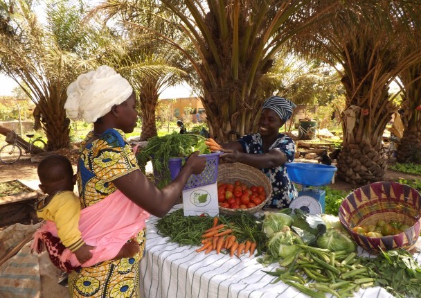  Burkina : La balance commerciale exceptionnellement excédentaire au deuxième trimestre 2020 
