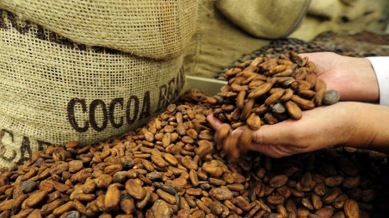  Achat de cacao en 2023/2024 : le Conseil du cacao signe le prêt syndiqué de 800 millions $ 