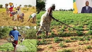  Sénégal: Les contraintes sur le financement du secteur agricole persistent 