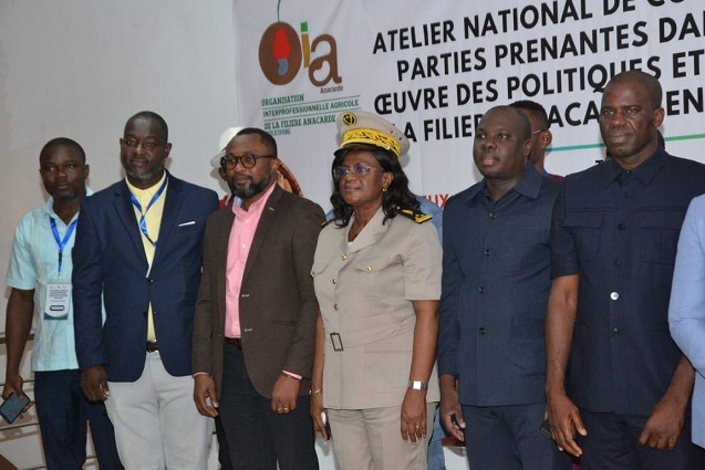  Transformation de la noix de cajou en Côte d'Ivoire : des réflexions sur le renforcement du dialogue public-privé 