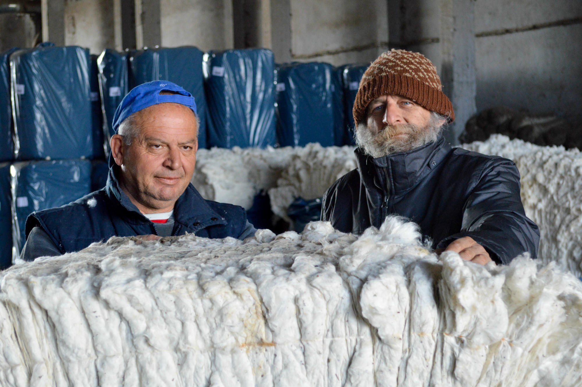  Agriculture: Better Cotton Initiative to certify Greek cotton 