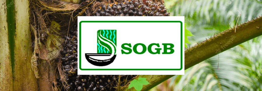  Stock market: SOGB achieved the largest price increase on Friday 