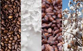  Exportations: En Côte d'Ivoire le coton, le cacao, le Robusta et le caoutchouc vont en ordre dispersé 