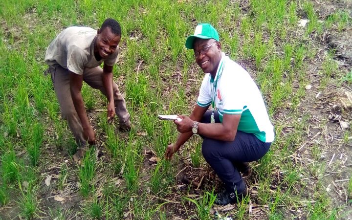  1ère édition de la Firaa : vers l’accroissement de la consommation du riz local en Côte d’Ivoire 