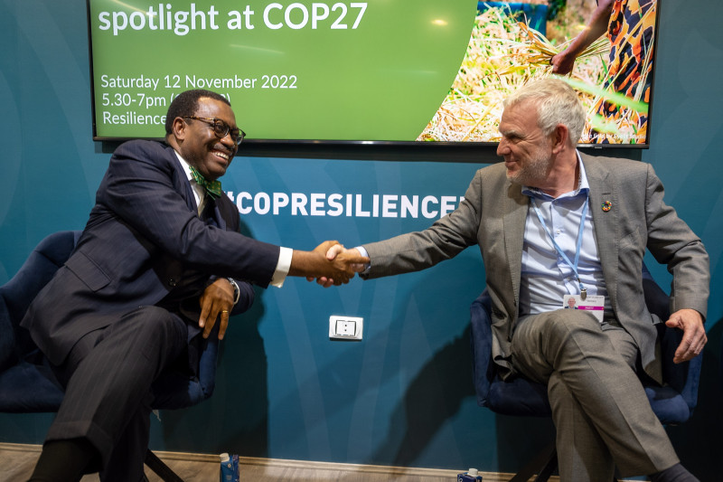  Climate finance for Africa: Germany plans to mobilize 486 million dollars 