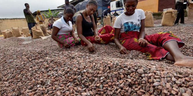  Cocoa, coffee, cotton and rubber: Ivory Coast reiterates its export performance 